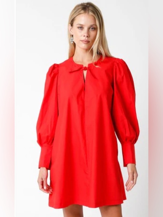 Dresses & Skirts - Red Puff Sleeve Tie Neck Dress